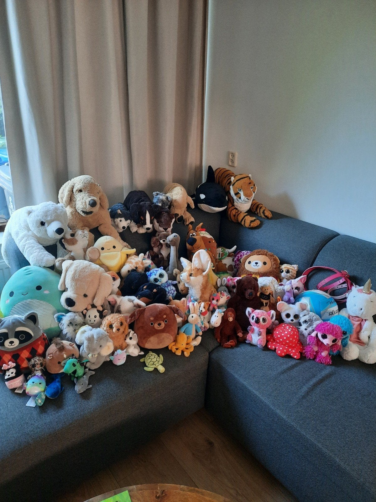 Grote partij knuffels: Beanie Boos, Squishmallows en meer!, Kinderen en Baby's, Speelgoed | Knuffels en Pluche, Overige karakters