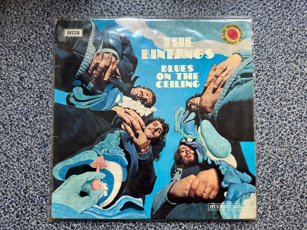 bintangs, Beschermende buitenhoes, Ophalen of Verzenden, Gebruikt, 12 inch