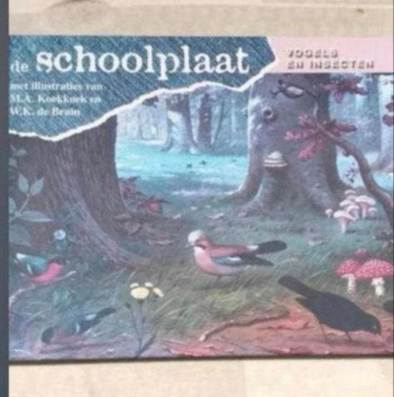 De Schoolplaat: Vogels en Insecten - In mooie staat, Antiek en Kunst, Antiek | Schoolplaten, Ophalen of Verzenden, Natuur en Biologie