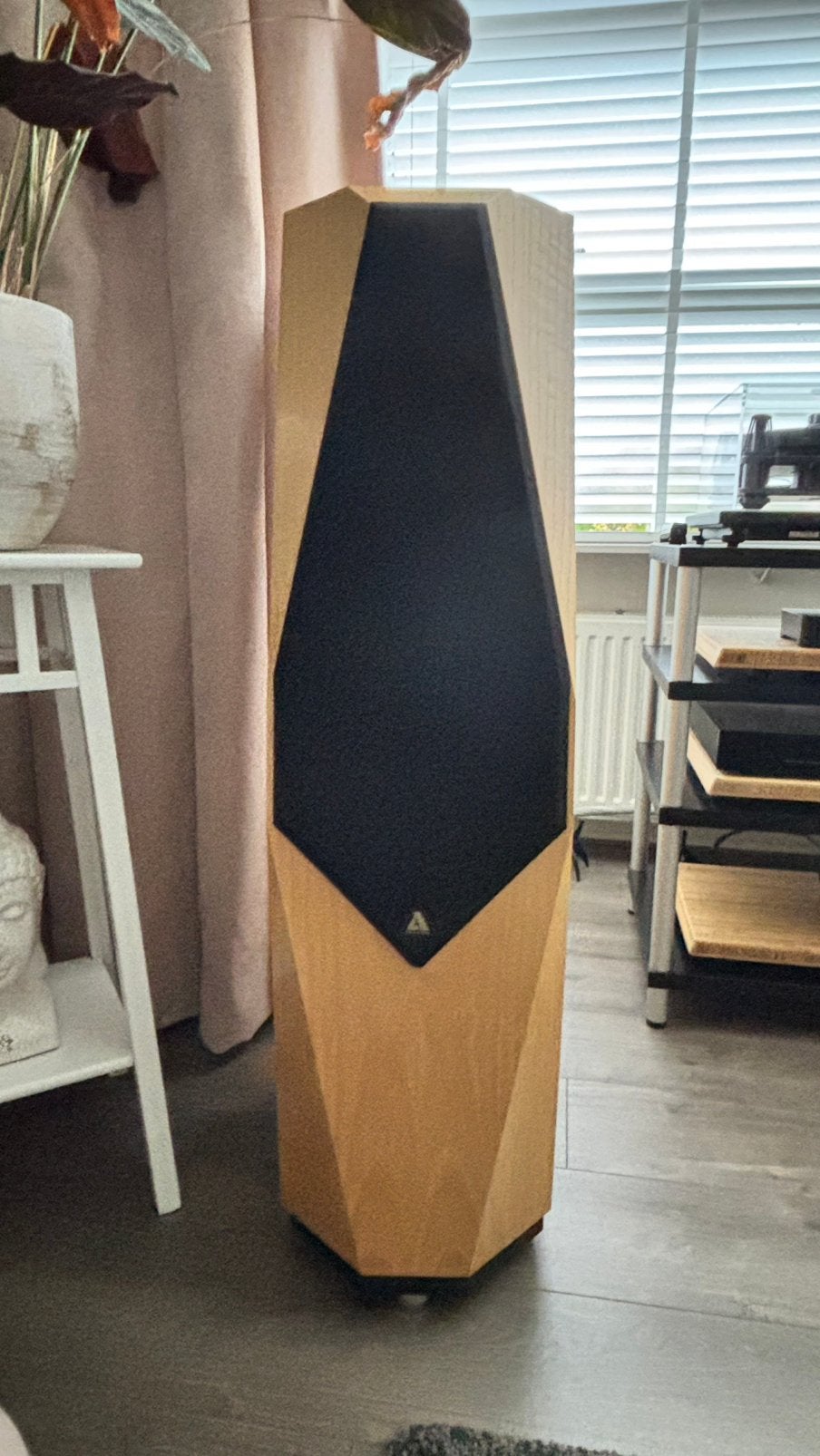 Avalon Eidolon Luidsprekers, Audio, Tv en Foto, Luidsprekers, Ophalen, Gebruikt, Overige merken