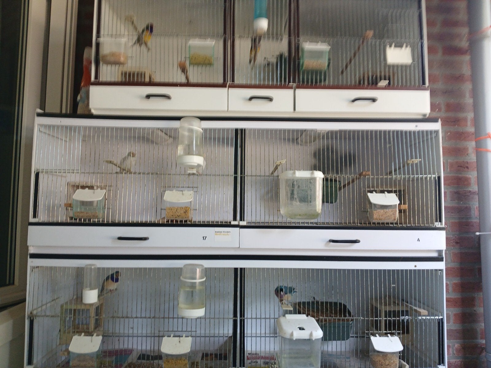 Te koop drie Bakker kooien  met verlichting lang 125, Dieren en Toebehoren, Ophalen, Aluminium, Broedkooi of Kweekkooi
