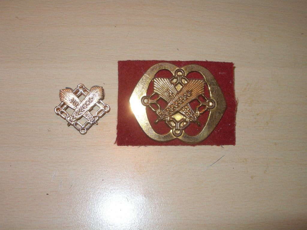 Emblemen Intendancetroepen, Ophalen of Verzenden, Landmacht, Nederland, Embleem of Badge