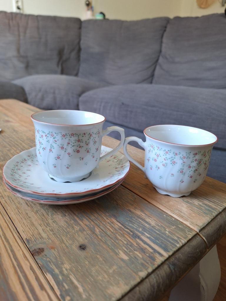 2 kopjes & schoteltjes Seltmann Weiden de Regina lijn, Ophalen of Verzenden