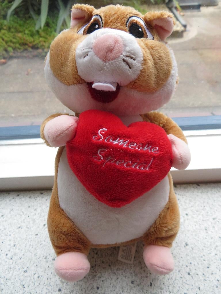Hamster Albert Heijn Valentijn AH rood hart Someone Special, Albert Heijn, Overige typen, Ophalen of Verzenden, Zo goed als nieuw