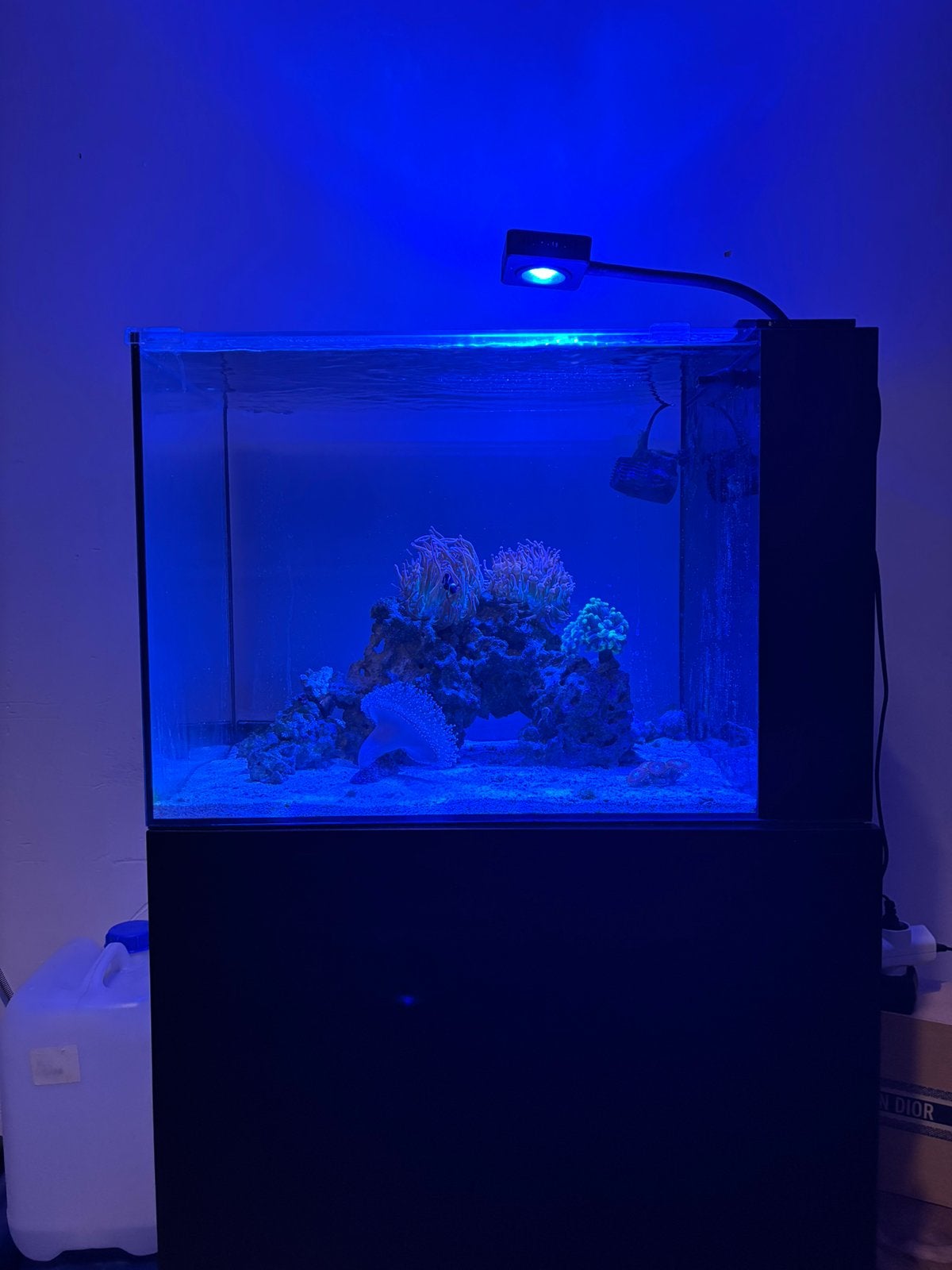 Waterbox Peninsula Mini 25 Complete Marine Reef Aquarium, Dieren en Toebehoren, Ophalen, Zo goed als nieuw, Leeg aquarium