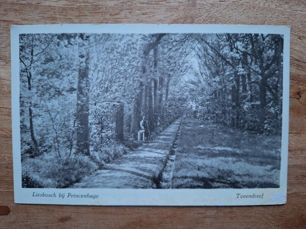 ansichtkaart Liesbosch bij Princenhage Breda, Ophalen of Verzenden, 1920 tot 1940, Ongelopen, Noord-Brabant