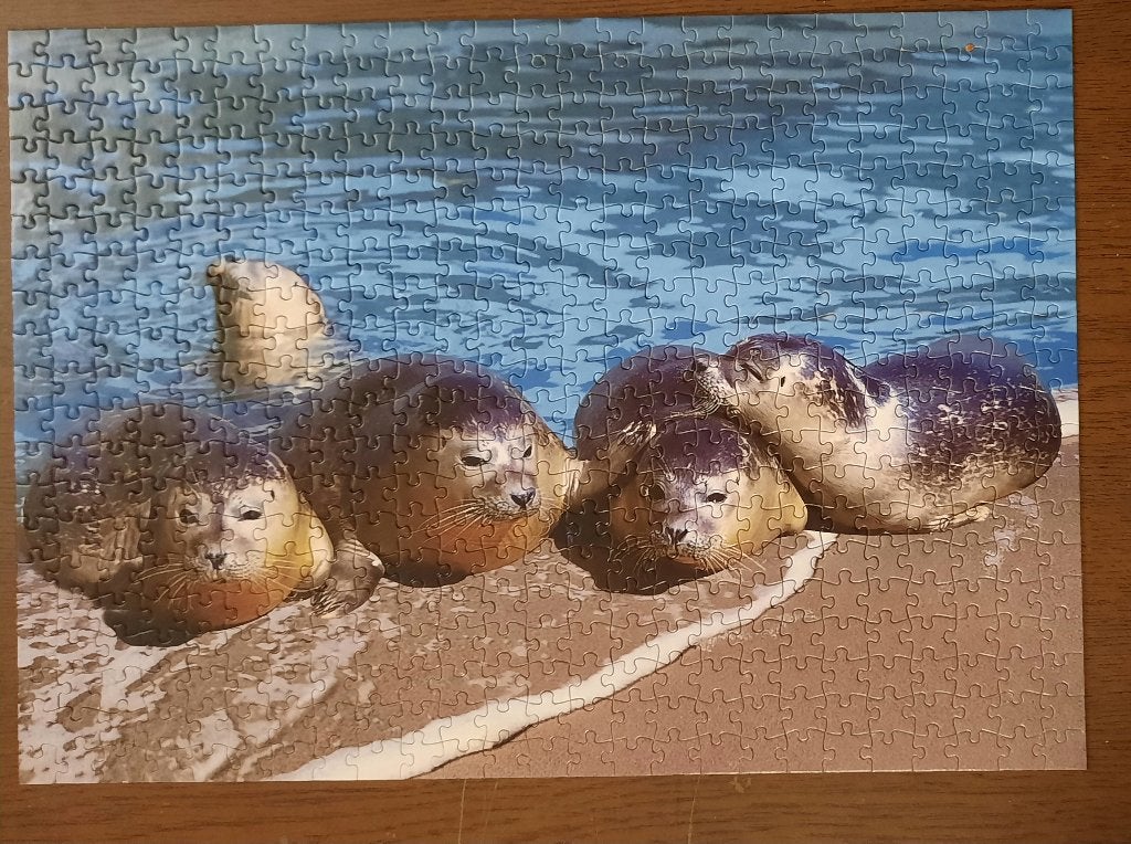puzzle: Zeehonden op het strand, Ophalen of Verzenden, 500 t/m 1500 stukjes, Zo goed als nieuw, Legpuzzel