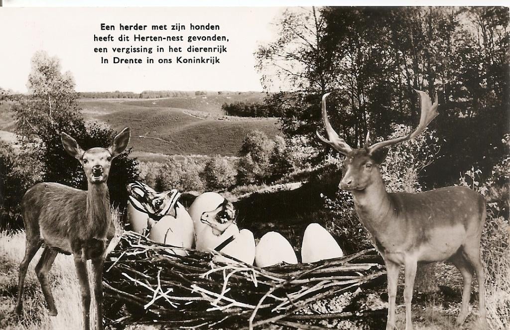 Drenthe, Ophalen of Verzenden, 1960 tot 1980, Gelopen, Drenthe