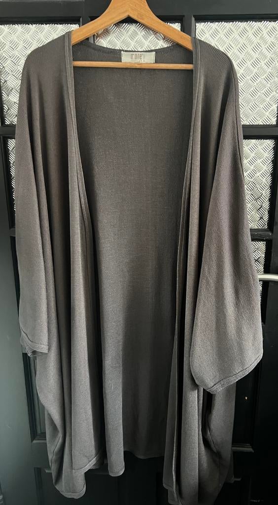 Grijs vest vleermuis model, Ophalen of Verzenden, Zo goed als nieuw, Grijs, Trui of Vest