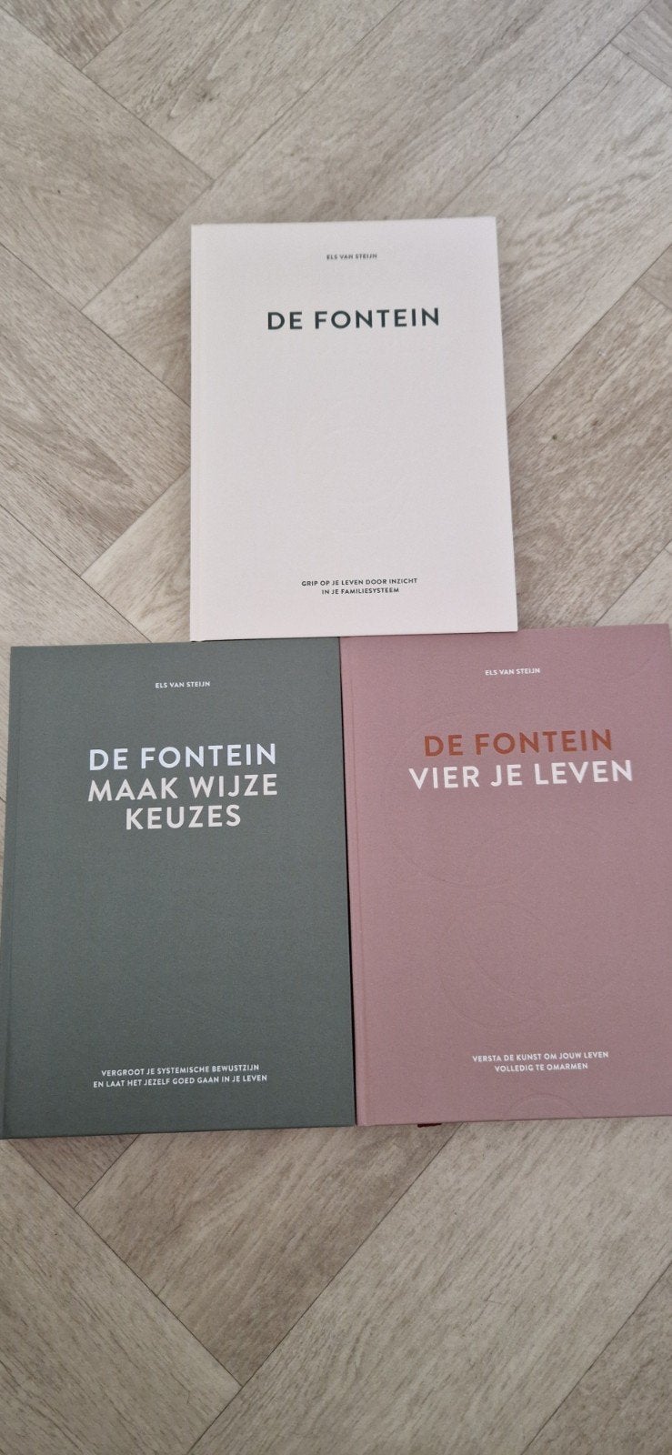 De Fontein Trilogie van Els van Steijn, Boeken, Ophalen of Verzenden, Nieuw, Els van Steijn