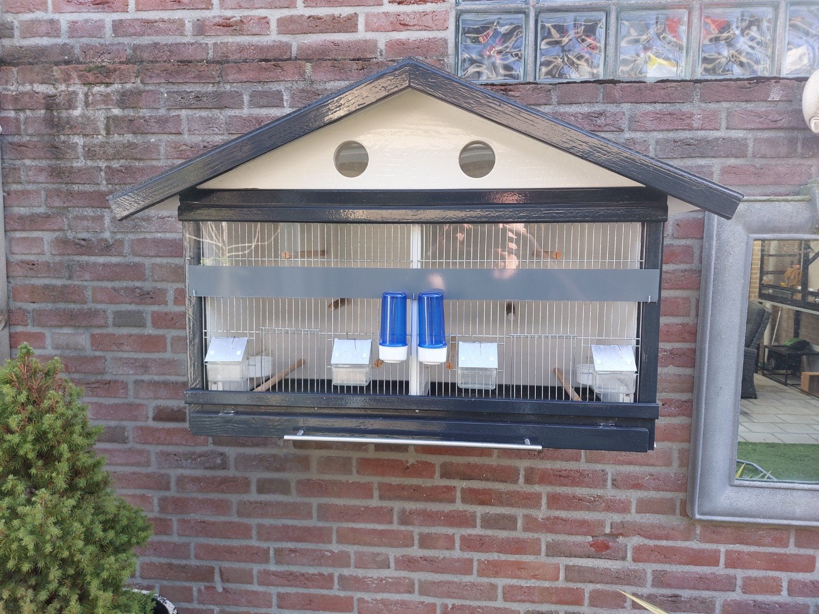 Prachtige degelijke ZGAN VOGELKOOI, Ophalen
