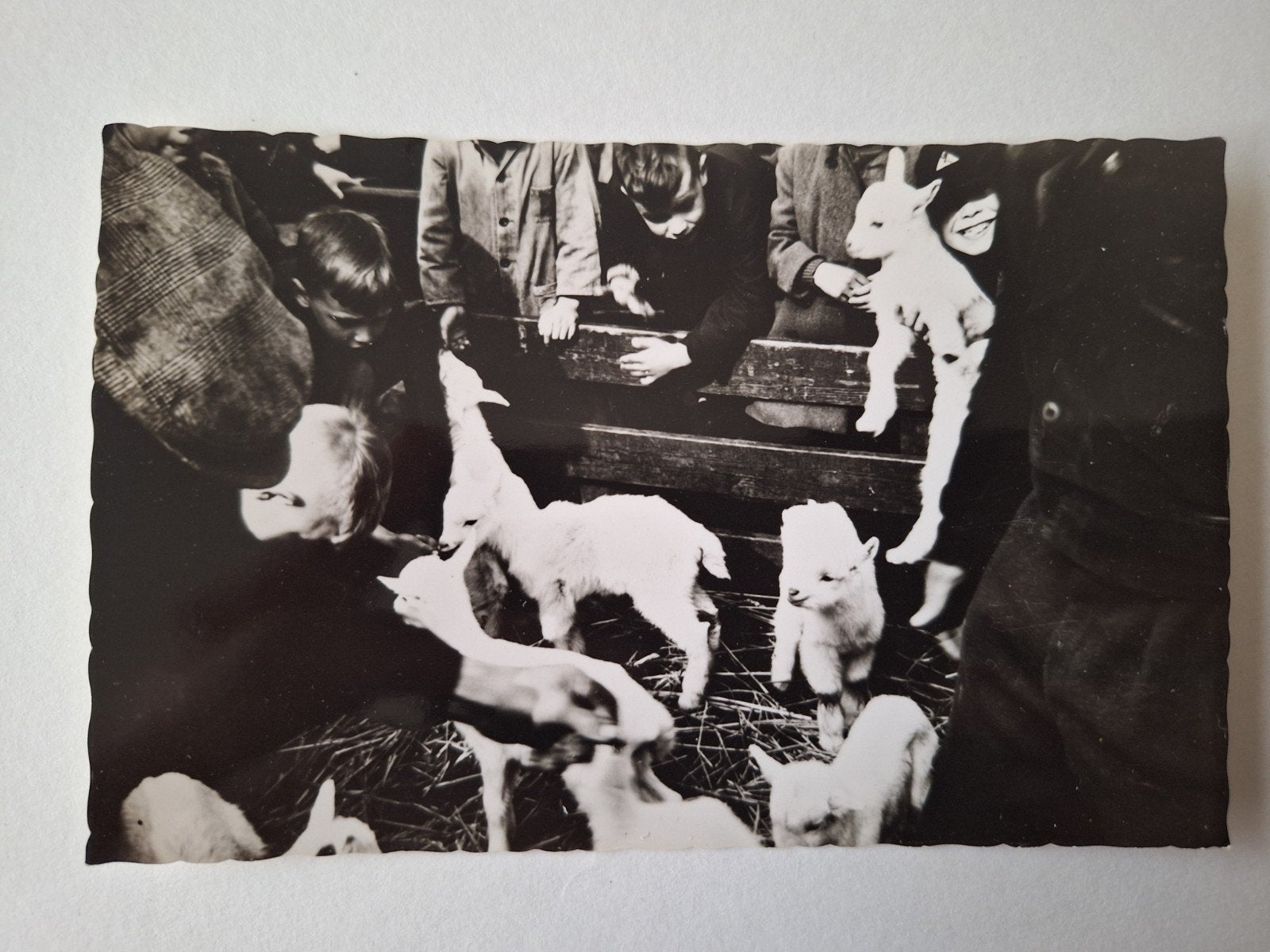 Purmerend, Ophalen of Verzenden, Noord-Holland