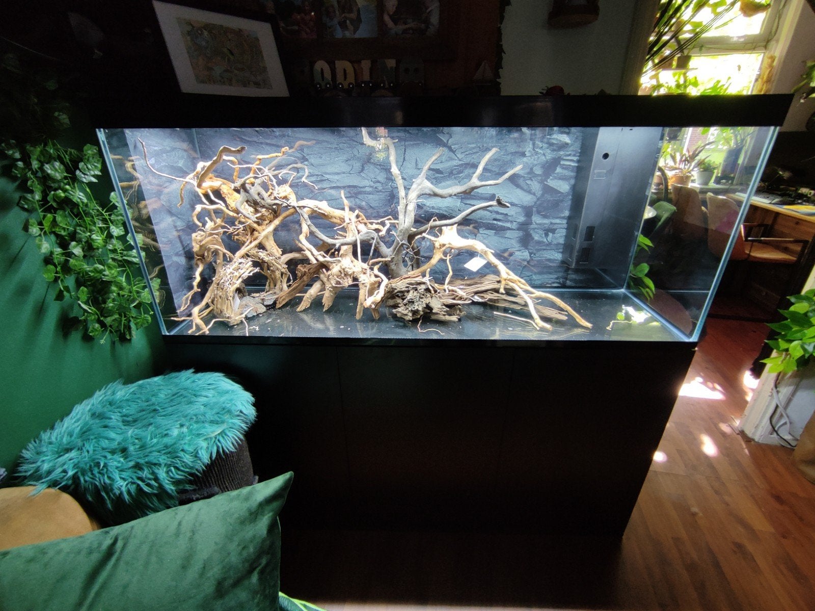 Ciano aquarium 1.5 meter over compleet, Dieren en Toebehoren, Ophalen