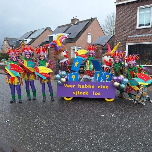 loopgroep carnaval, Ophalen, Zo goed als nieuw, Maat 46/48 (XL) of groter, Carnaval