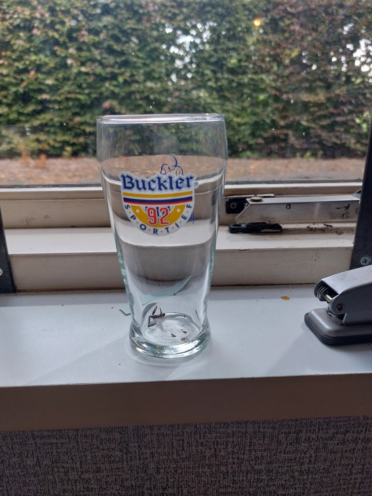 buckler dubbeldruk, Ophalen of Verzenden, Viltje(s), Overige merken