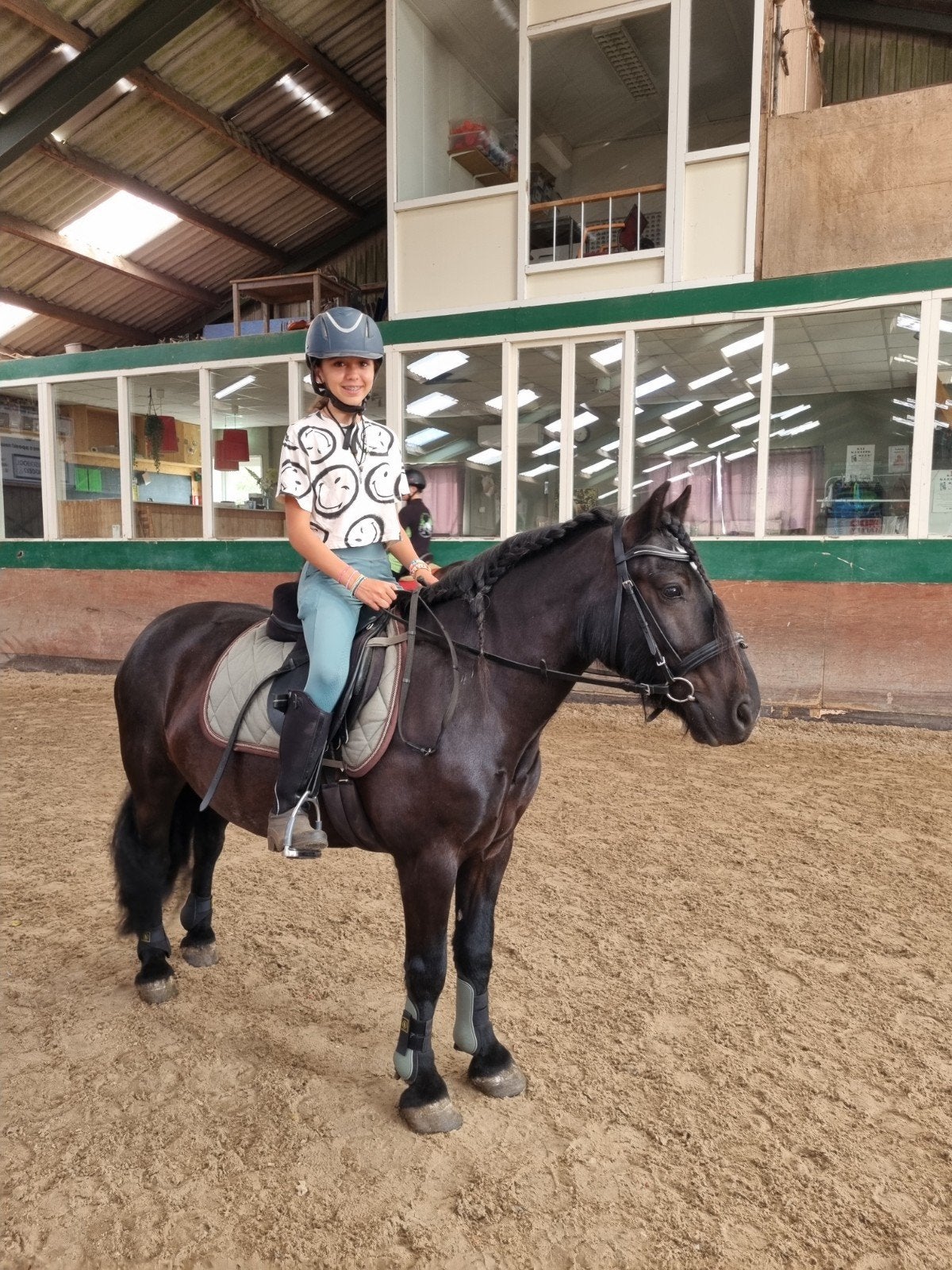 Wait van de Bosrand - Fell pony, Dieren en Toebehoren, Minder dan 160 cm, B, Ruin, 7 tot 10 jaar