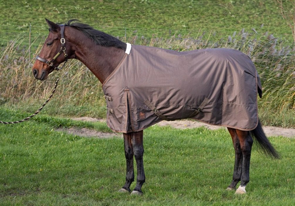 Harry’s horse outdoordeken Thor nieuw 200 gr 175 185 of 195, Ophalen of Verzenden, Nieuw