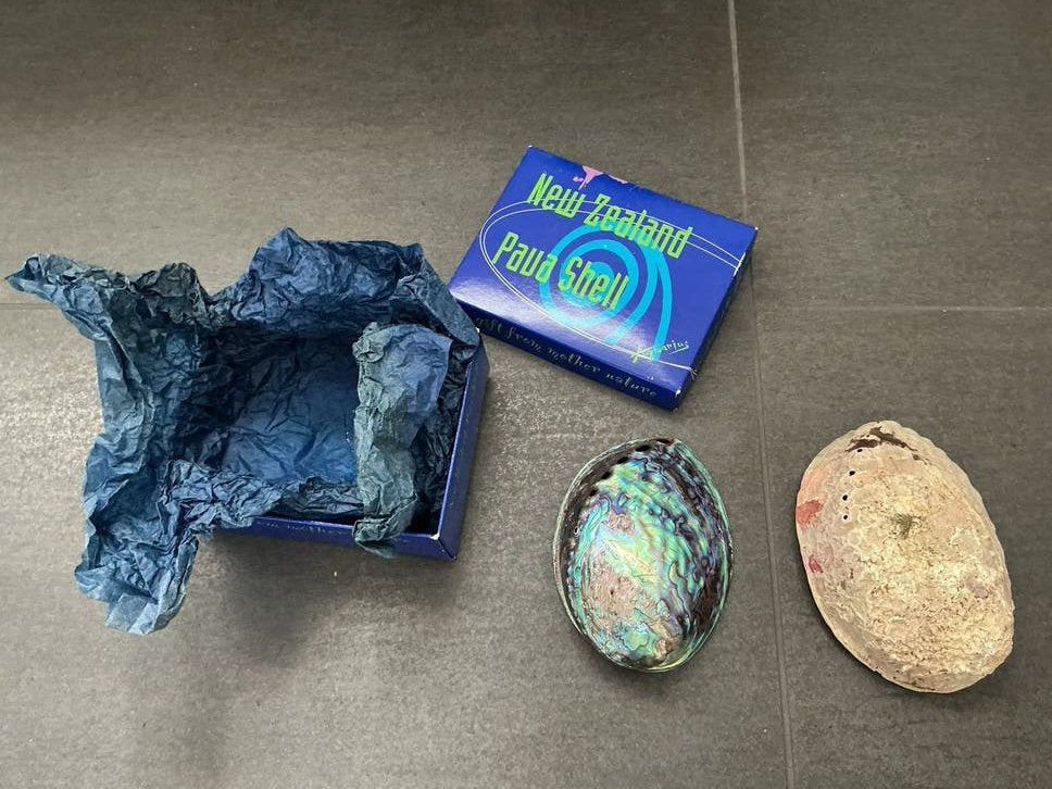 Nieuw-Zeeland Paua Schelp - Haliotus Iris, Ophalen of Verzenden, Zo goed als nieuw
