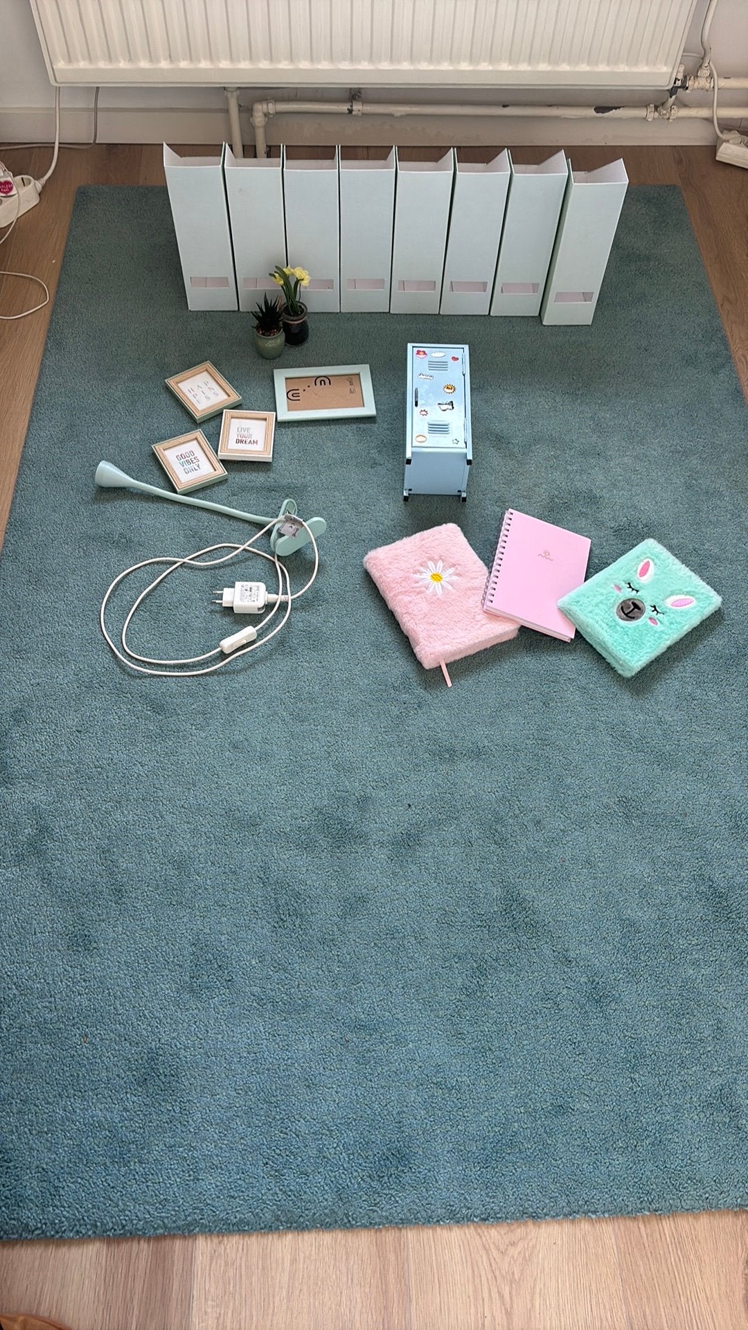 Gratis accessoires voor meidenkamer!, Ophalen, Zo goed als nieuw, Rechthoekig, 200 cm of meer