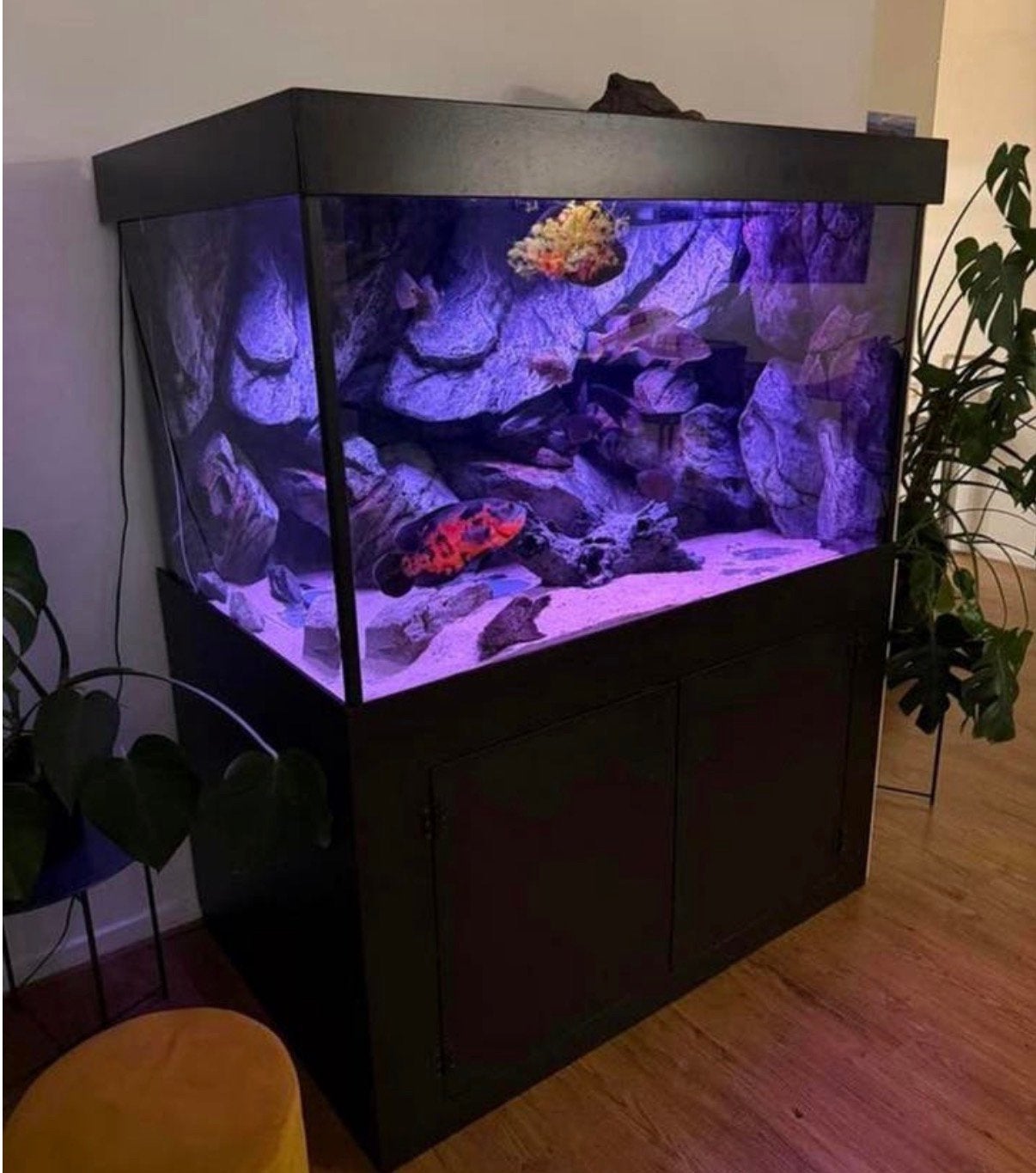 Aquarium met 3d achterwand, Dieren en Toebehoren, Vissen | Aquaria en Toebehoren, Leeg aquarium, Ophalen