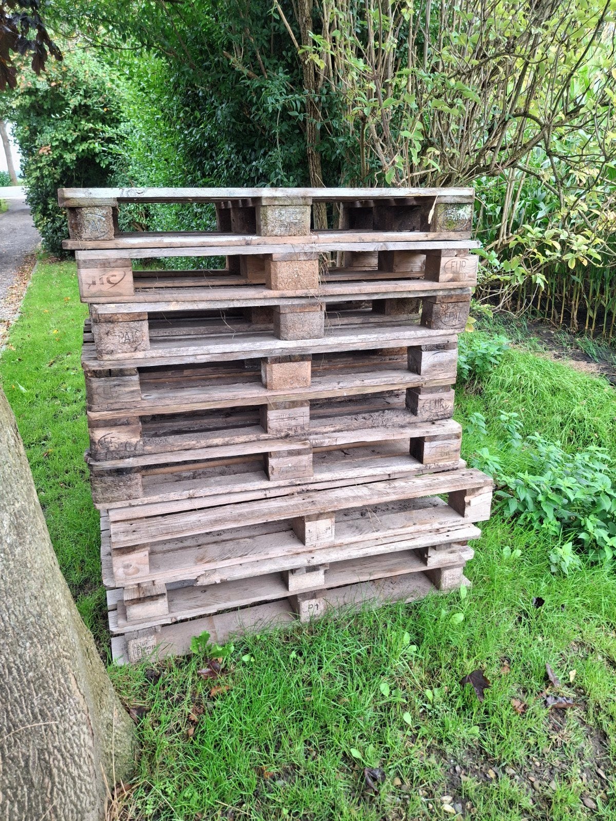 pallets euro 6x, Ophalen, Overige houtsoorten, Minder dan 200 cm, Pallet