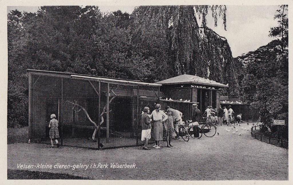 Velsen - Kleine dieren-galerij in het Park Velserbeek, Verzenden, Voor 1920, Ongelopen, Noord-Holland