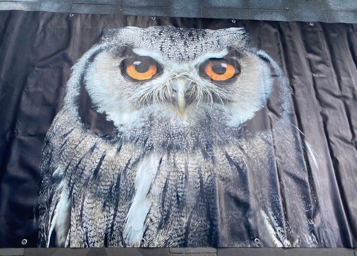 Groot wandkleed met uil - 296x130, Ophalen of Verzenden, Zo goed als nieuw