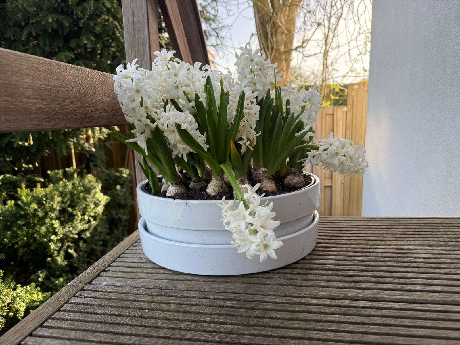 Witte bloempot met schotel, circa 40 cm, Ophalen, Gebruikt, 40 cm of meer, Rond