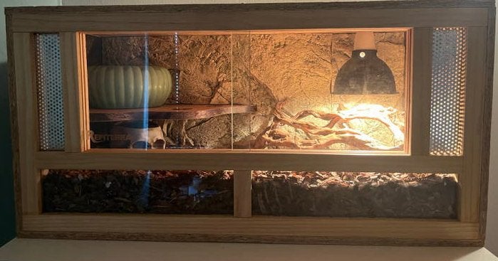 Terrarium, Ophalen, Nieuw, Terrarium of Paludarium