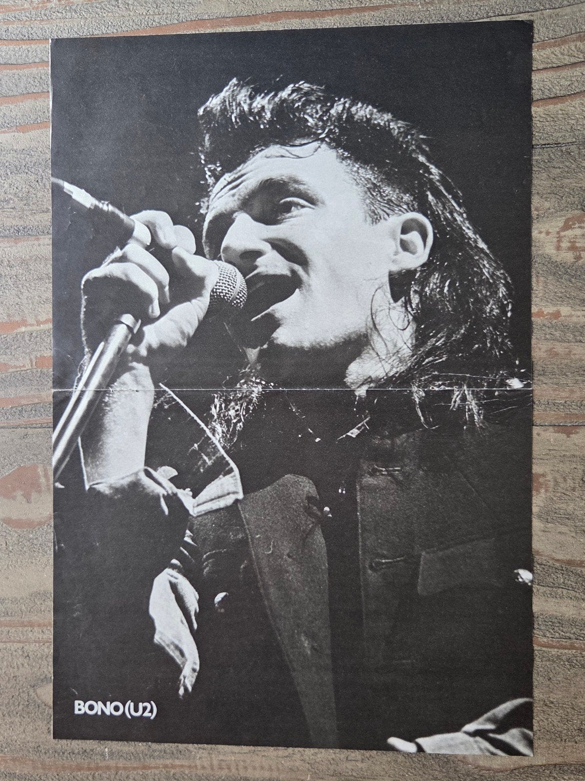 Bono (U2) Poster - Zwart-wit concertfoto, Ophalen of Verzenden, Zo goed als nieuw, A1 t/m A3, Muziek