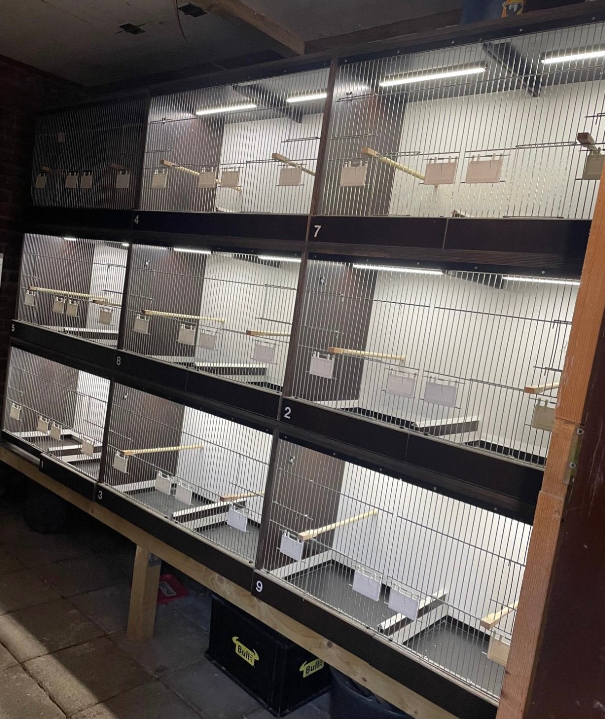 Houten betonplex broedkooien kweekkooien met led verlichting, Ophalen, Gebruikt, Hout, Vogelkooi