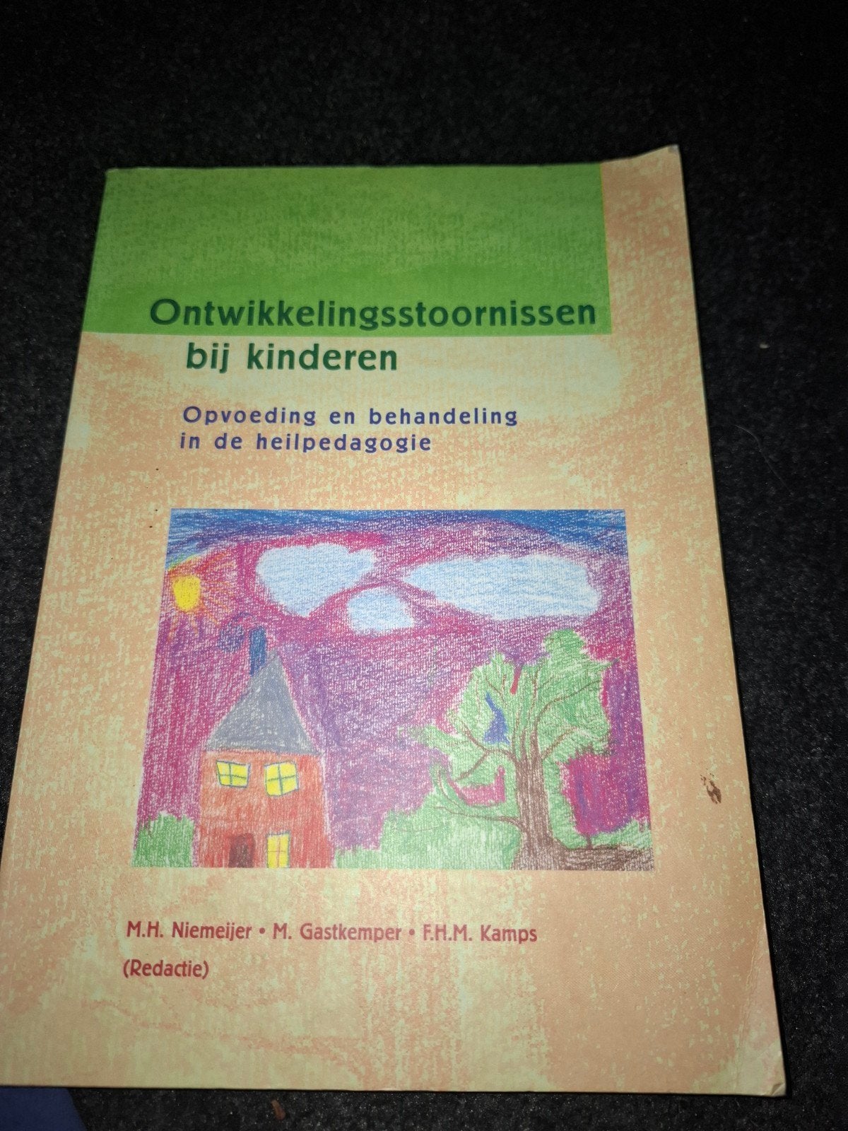 Ontwikkelingsstoornissen bij kinderen - Heilpedagogie, Gelezen, M.H. Niemeijer, M. Gastkemper, F.H.M. Kamps (Redactie), Gamma