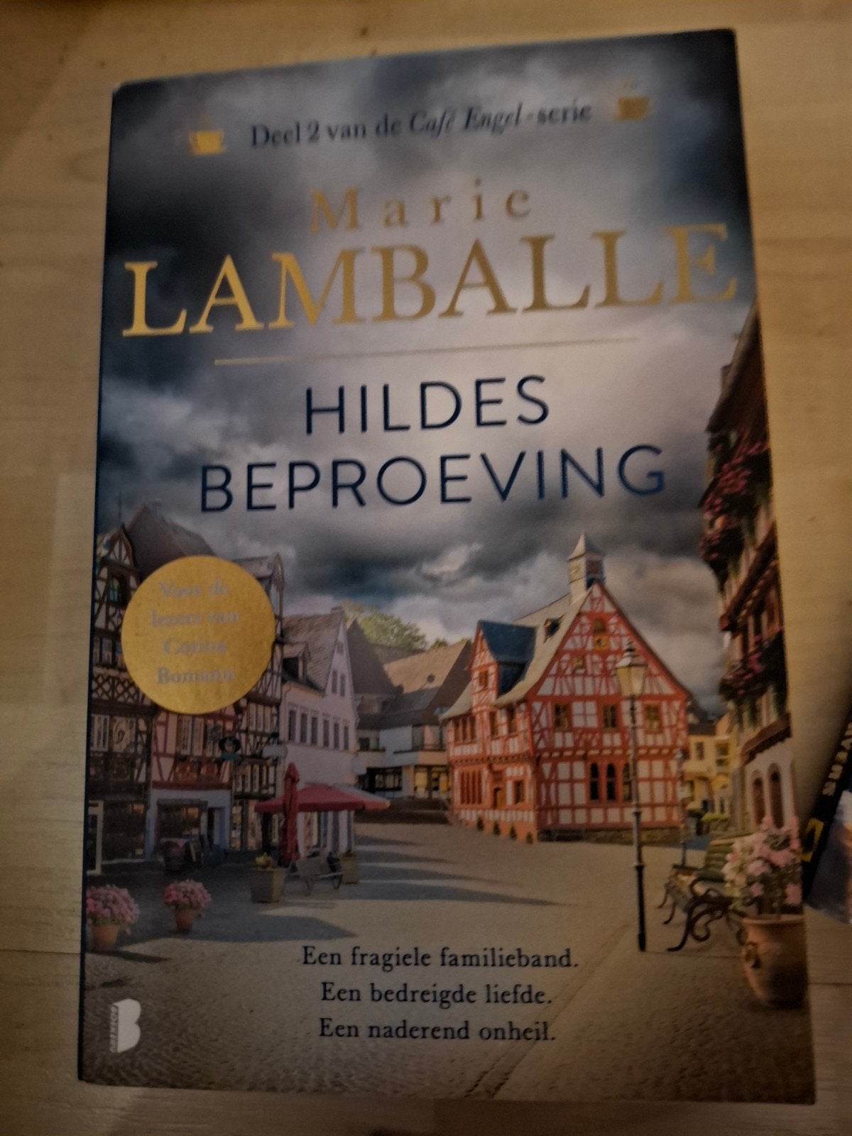 Hildes Beproeving - Marie Lamballe (Deel 2 Café Engel-serie), Ophalen of Verzenden, Gelezen, Marie Lamballe, Europa overig