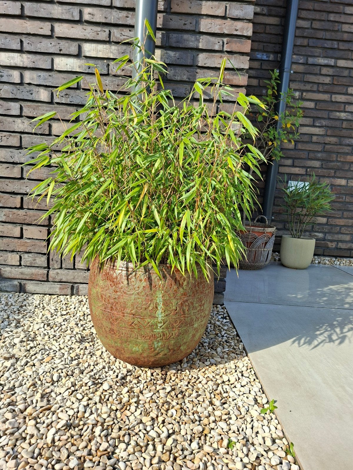 Groen met roestkelurige bloempot met bamboe,, Gebruikt, Rond, Minder dan 40 cm, Metaal