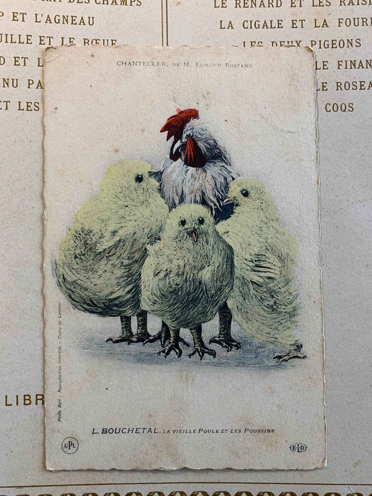 1910 Chantecler - L. Bouchetal (FR), Ophalen of Verzenden, Voor 1920, Gelopen, Vogel