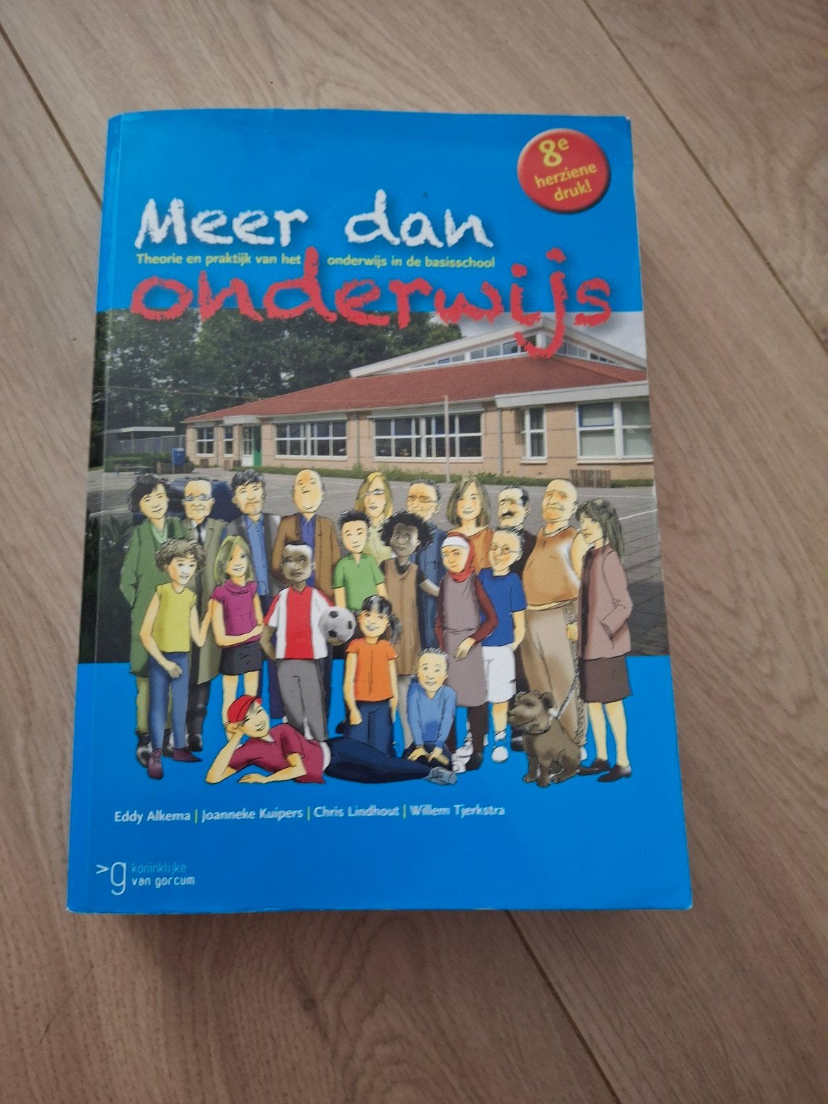 Meer dan onderwijs - Pabo studieboek (goede staat), Eddy Alkema, Joanneke Kuipers, Chris Lindhout, Willem Tjerkstra, Zo goed als nieuw