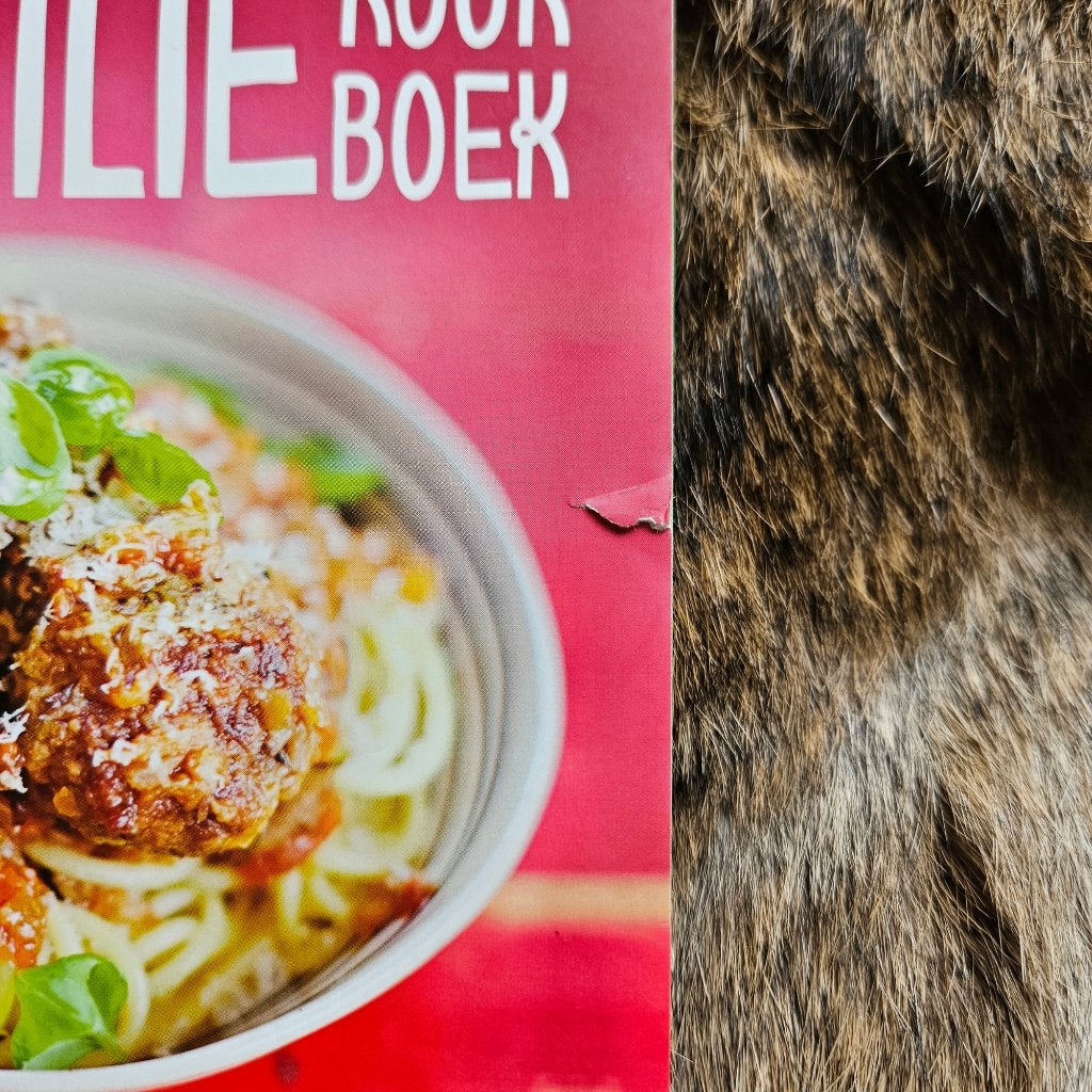 Jamie Oliver’s Foodtube Het familie kookboek **, Ophalen of Verzenden, Zo goed als nieuw