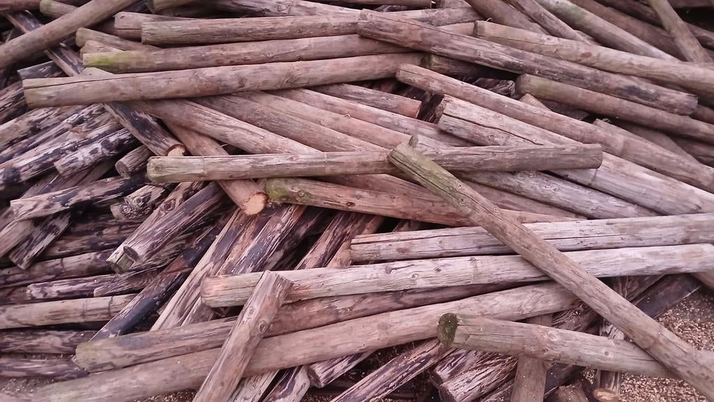 Gratis. Gecroteerde palen 1 meter., Tuin en Terras, Haardhout, Minder dan 3 m³, Ophalen of Verzenden, Overige houtsoorten