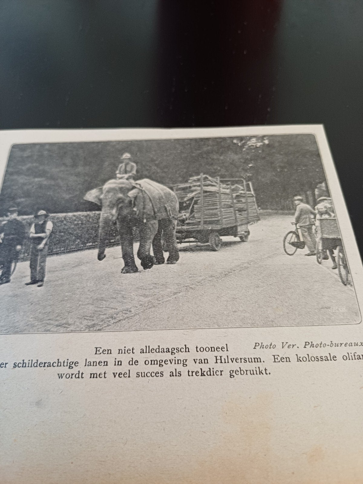 knipsel olifant Hilversum 1921, Ophalen of Verzenden, 1920 tot 1940, Knipsel(s)
