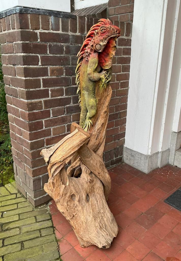 Leguaan v. klei gemodelleerd op een mooi, gedraaid stuk hout, Ophalen