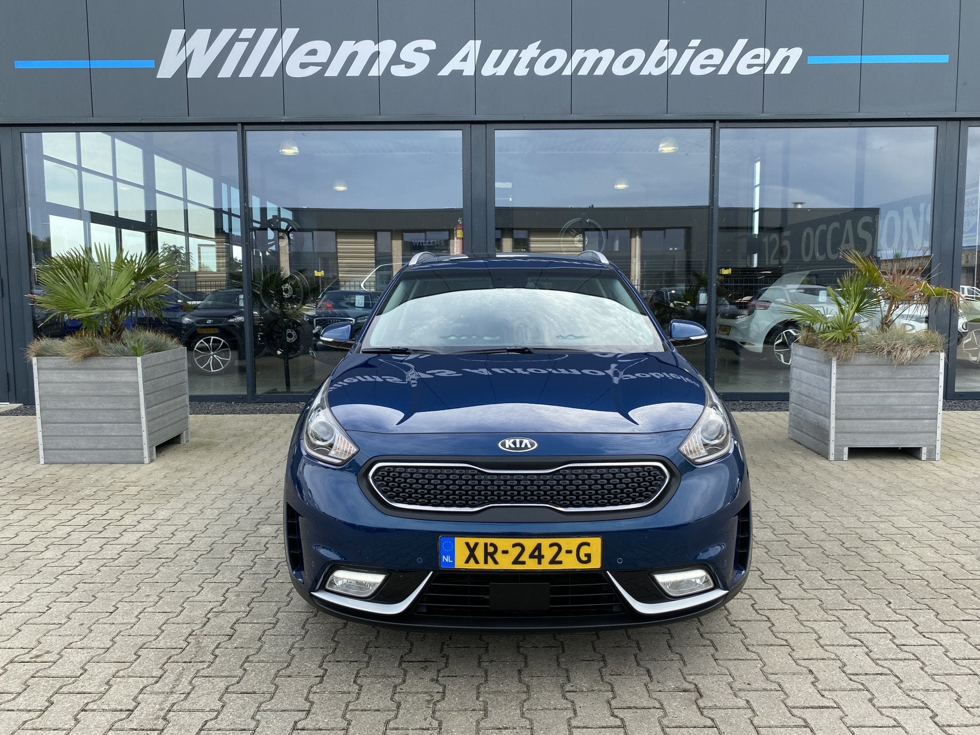 Kia Niro 1.6 GDi Hybrid BusinessLine Stoelverwarming & Stuur, Auto's, Dealer onderhouden, Gebruikt, Met garantie (alle), Blauw