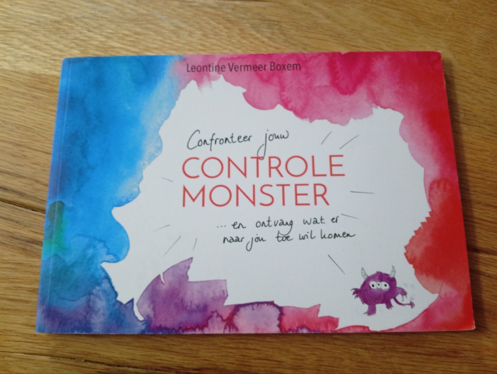 Confronteer je Controle Monster - Leontine Vermeer Boxem, Ophalen of Verzenden, Zo goed als nieuw, Nederland, Leontine Vermeer Boxem