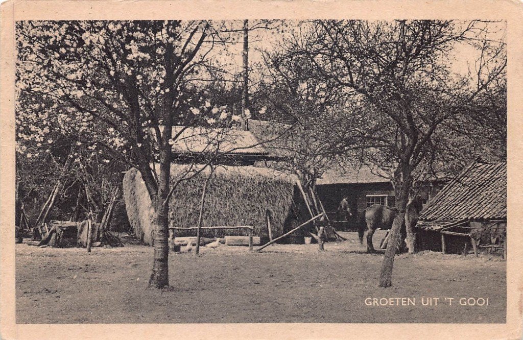 775 Noord-Holland Boerenleven  Groet uit 't Gooi, Ophalen of Verzenden, Voor 1920, Ongelopen, Noord-Holland