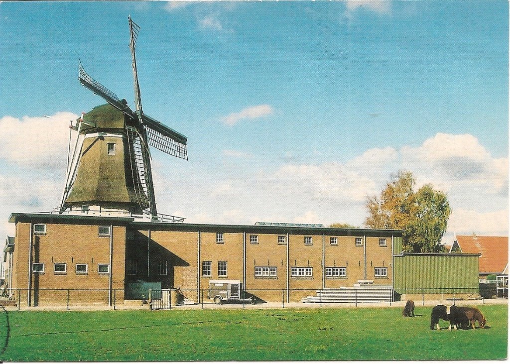 Ansichtkaart Molen en Gebouw met Paarden Weststellingwerf, Ophalen of Verzenden, 1980 tot heden, Ongelopen, Friesland