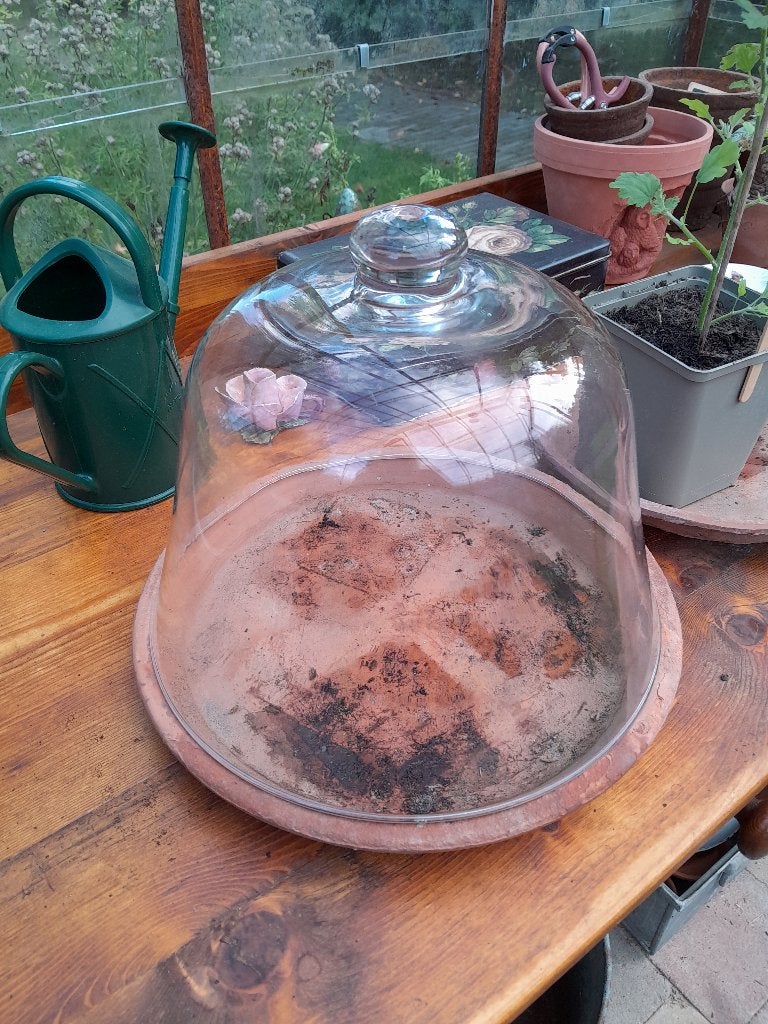 ~ Glazen Cloche, Ophalen of Verzenden, Gebruikt, Overige typen