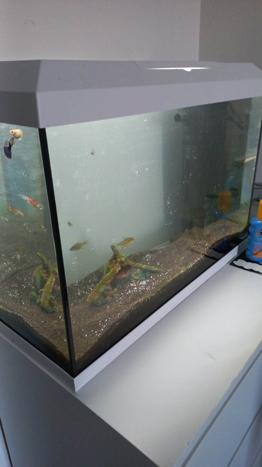 Fish tank for sale, Dieren en Toebehoren, Ophalen, Zo goed als nieuw, Leeg aquarium