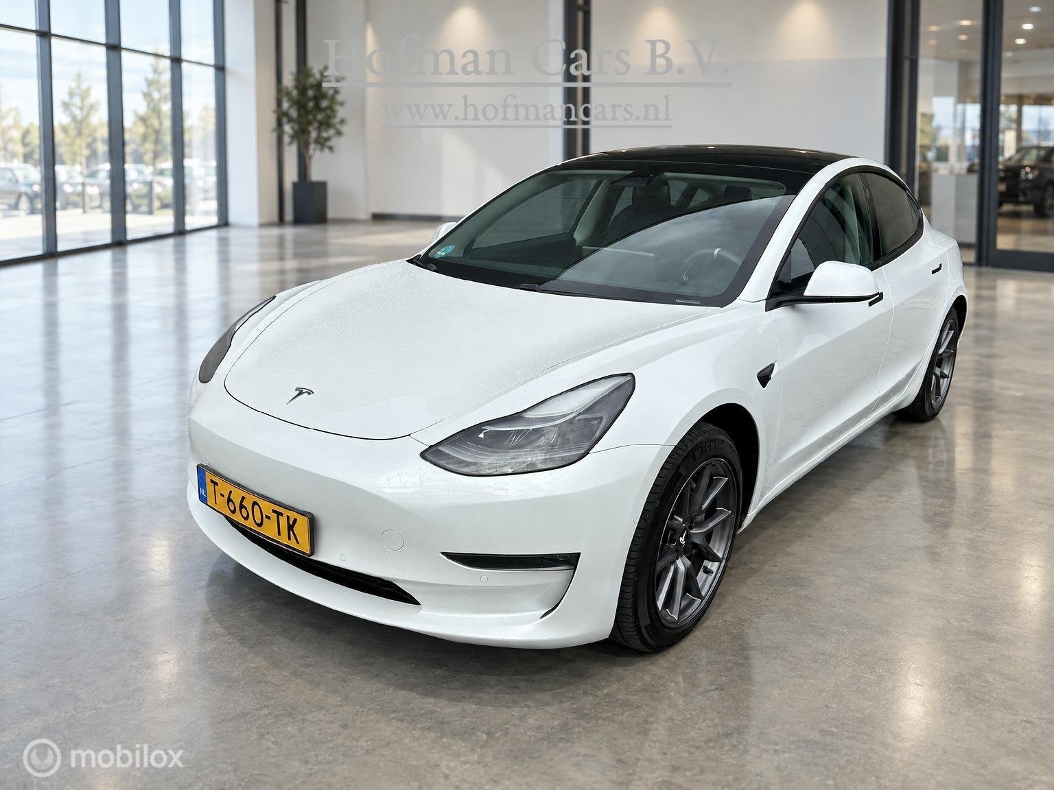 Tesla Model 3 Long Range AWD 75 kWh | DUAL MOTOR | TREKHAAK