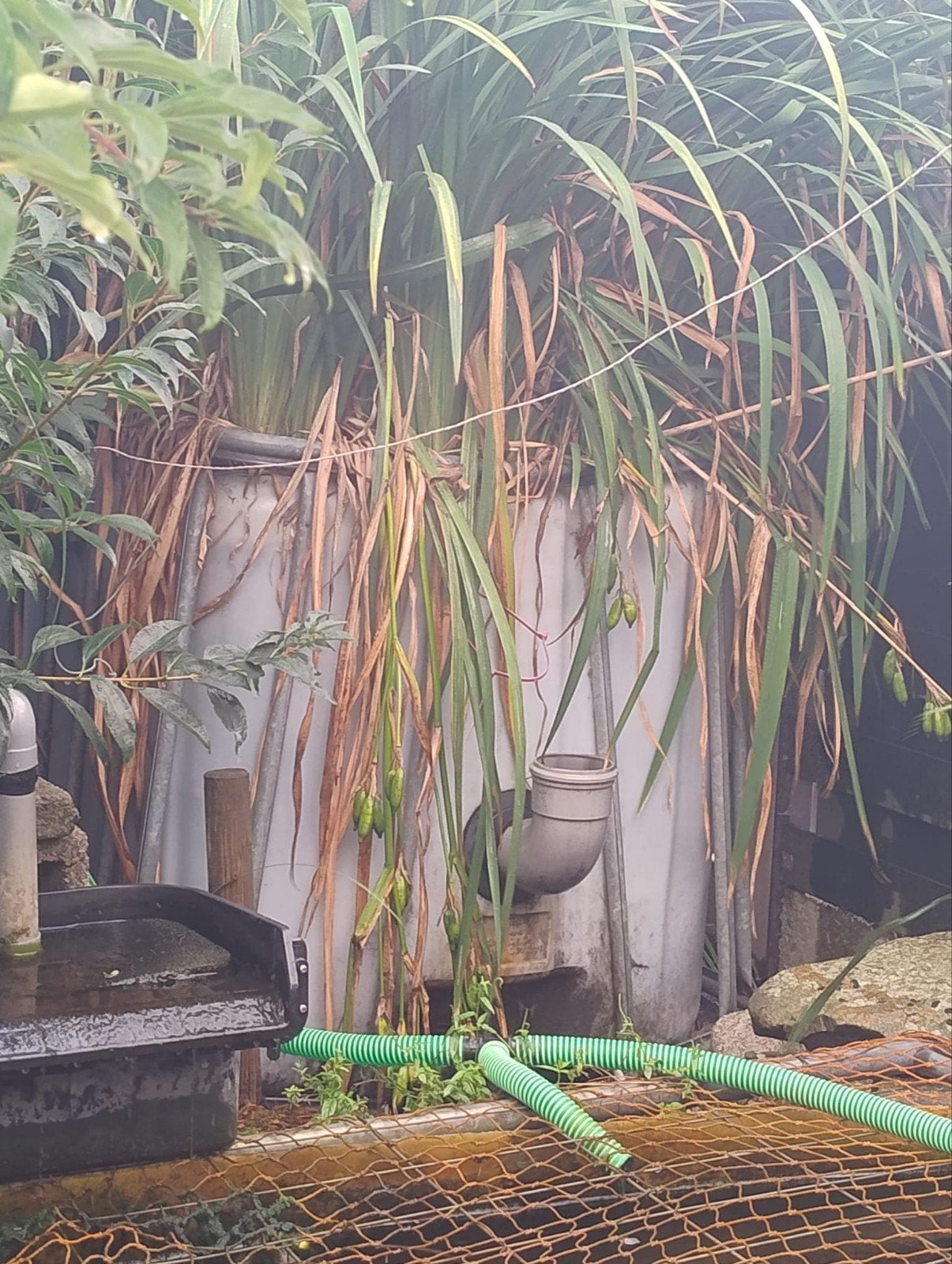 ibc vaten planten filter, Ophalen, Gebruikt, Vijverfilter