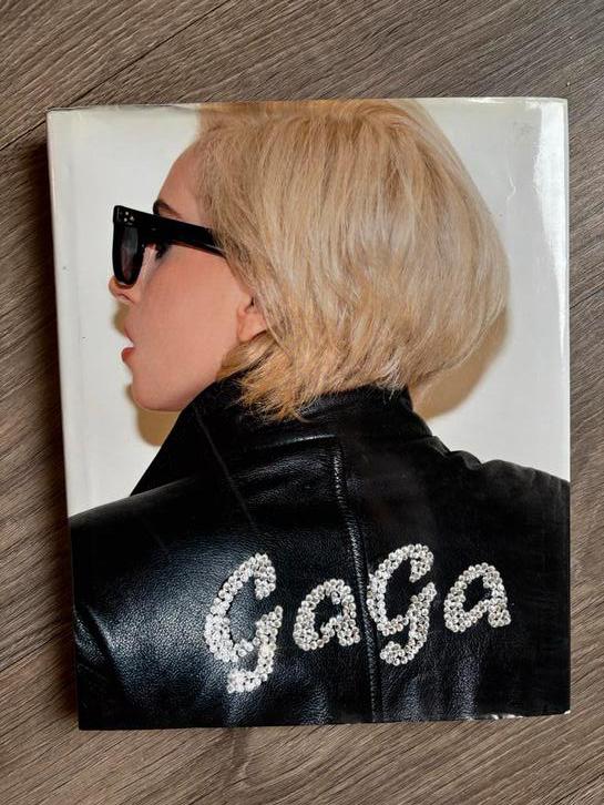Lady Gaga & Terry Richardson Fotoboek - Backstage, Boeken, Ophalen of Verzenden, Gelezen, Personen