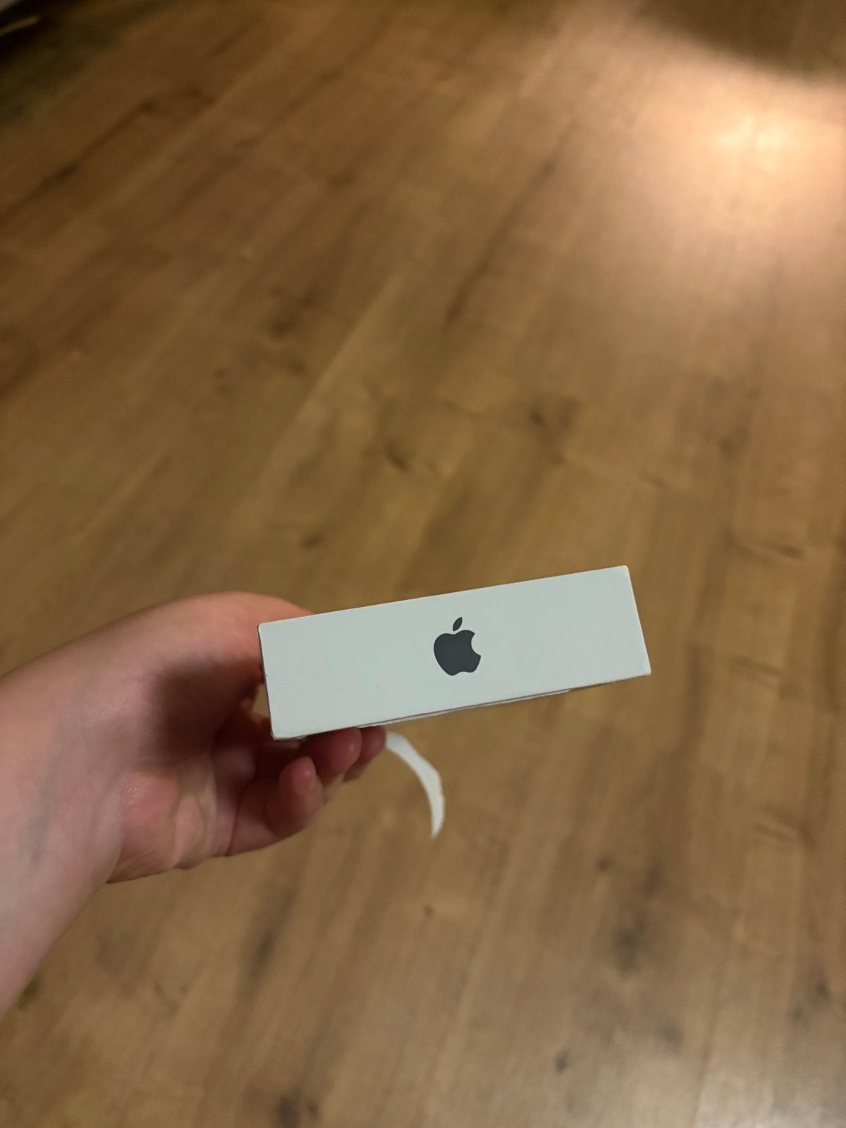 Lege iPhone doos (geen telefoon), Ophalen, Gebruikt, Overige typen, Apple